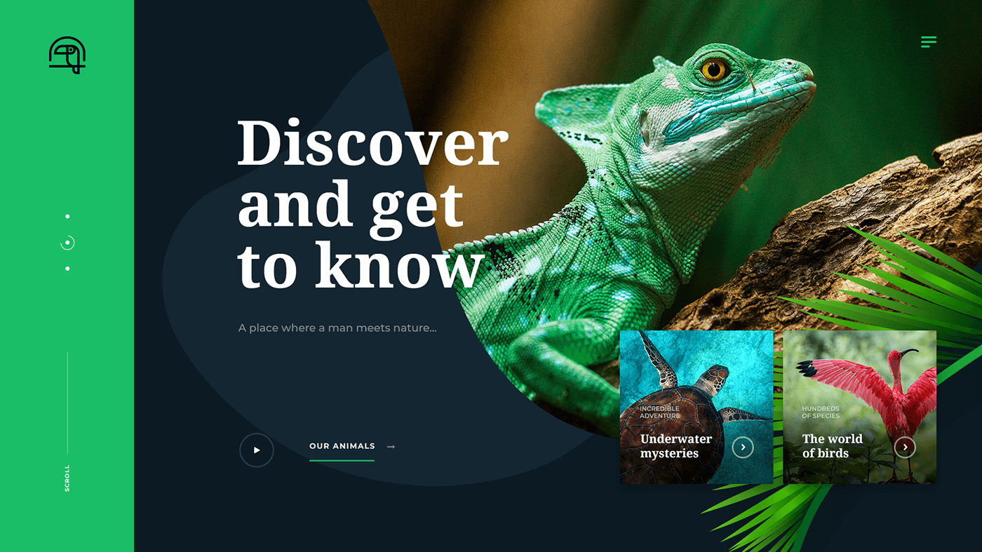 Animal app concept with a large lizard hero image and discovery layout